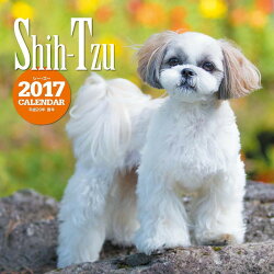 【壁掛】2017年大判カレンダー シー・ズー
