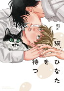 猫、ひなたを待つ