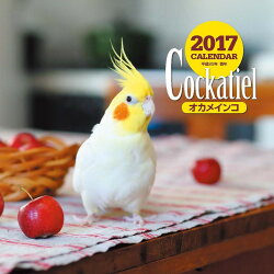 【壁掛】2017年大判カレンダー オカメインコ