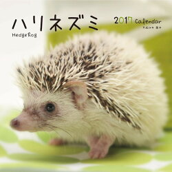 【壁掛】2017年大判カレンダー ハリネズミ