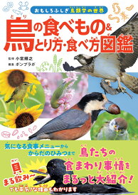 鳥の食べもの＆とり方・食べ方図鑑 [ 小宮輝之 ]