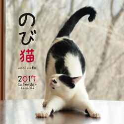 【壁掛】2017年大判カレンダー のび猫
