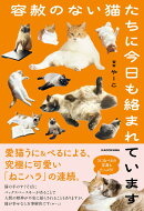容赦のない猫たちに今日も絡まれています