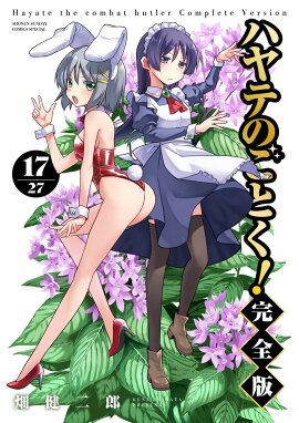 ハヤテのごとく！ 完全版（17）