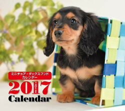 【壁掛】2017年ミニカレンダー ミニチュア・ダックスフンド