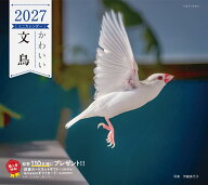 2027年カレンダー かわいい文鳥 （誠文堂新光社カレンダー） [ 伊藤 美代子 ]