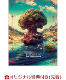 【楽天ブックス限定先着特典】ARENA TOUR 2023 “NOAH no HAKOBUNE”(2DVD)(スマホショルダー(NOAH no HAKOBUNE ver…