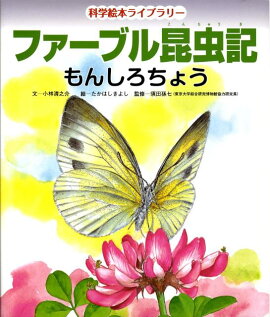 �ե����֥뺫��ʤ�󤷤����礦��