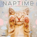 Naptime (Cats) 2024 7 X 7 Mini Wall Calendar