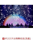 【楽天ブックス限定先着特典】2024 ZEROBASEONE FAN-CON IN JAPAN(初回生産限定盤DVD)(オリジナル・缶バッジ(全9種…
