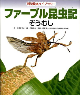 �ե����֥뺫��ʤ����ष��