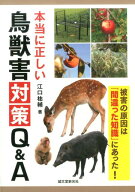 本当に正しい鳥獣害対策Q＆A 被害の原因は「間違った知識」にあった！ [ 江口 祐輔 ]