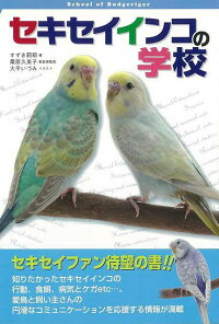 楽天ブックス バーゲン本 セキセイインコの学校 すずき 莉萌 本