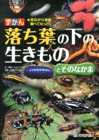 楽天市場 ミミズの通販