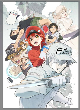 �Ϥ��餯��˦!! 4���̾��ǡۡ�Blu-ray��