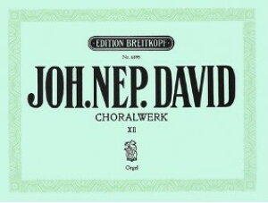 yAyz_[tBg, Johann Nepomuk: IKER[iW 12: 41 [ _[tBg, Johann Nepomuk ]