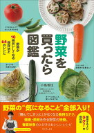 野菜を買ったら図鑑 - 野菜が10倍おいしくなる保存法と64のレシピ - [ 小島 香住 ]
