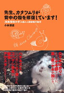 先生、カタツムリが背中の殻を修復しています！ 鳥取環境大学の森の人間動物行動学 [ 小林朋道 ]