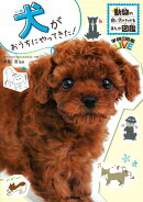 犬がおうちにやってきた！