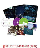 【楽天ブックス限定先着特典】僕たちの嘘と真実 Documentary of 欅坂46 DVDコンプリートBOX (4 枚組)(完全生産限定…