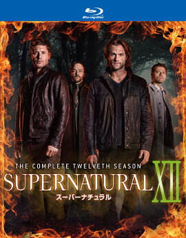 SUPERNATURAL XII ��ȥ�����֡����������֥롼�쥤 ����ץ꡼�ȡ��ܥå�����Blu-ray��