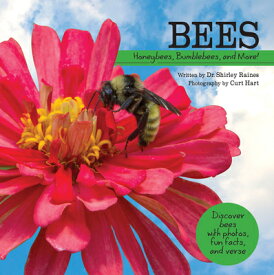 Bees: Honeybees, Bumblebees, and More! BEES （My Wonderful World） [ Shirley Raines ]