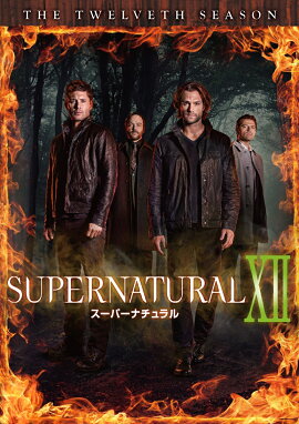 SUPERNATURAL XII ��ȥ�����֡����������DVD ����ץ꡼�ȡ��ܥå���