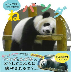 【バーゲン本】ねパンダーかわいすぎる！パンダのねがお