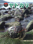 ヤドカリ