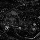 Are you ready? (初回限定盤 CD+DVD)