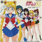 美少女戦士セーラームーンR 未来へ向かって