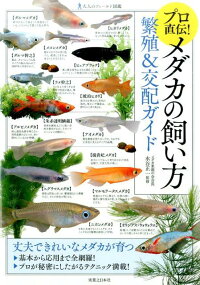プロ直伝 メダカの飼い方繁殖 交配ガイド 水谷正一 本 楽天ブックス