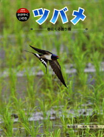 ツバメ 春にくる渡り鳥 （科学のアルバムかがやくいのち） [ 亀田竜吉 ]