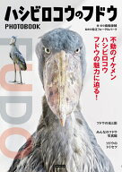 ハシビロコウのフドウ PHOTO BOOK [ 南幅俊輔 ]