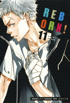 家庭教師ヒットマンREBORN! 11