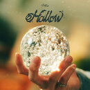 Hollow (通常盤)