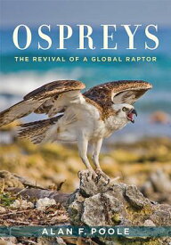Ospreys: The Revival of a Global Raptor OSPREYS [ Alan F. Poole ]