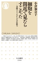 細胞を間近で見たらすごかった