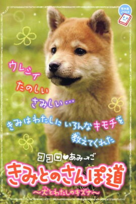 楽天ブックス 子ねこのほほえむ時 私がこの子の家族になります キャットガーディアン 本