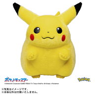 ポケモン30周年記念 おかえり！ピカチュウ1/1