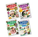 みつけてあそべる！　しょくぶつ図鑑（全4巻）