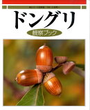 ドングリ観察ブック