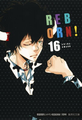 家庭教師ヒットマンREBORN! 16