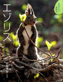 楽天市場 エゾリスの通販