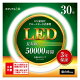 ꥫ ݷLED  30 ץǥ  ECL-FCL30YN