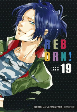 家庭教師ヒットマンREBORN! 19