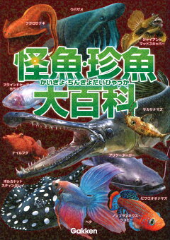 楽天ブックス 全種リアル写真付き 釣れる怪魚図鑑完全ガイド 小塚 拓矢 本