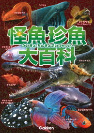 楽天市場 魚 イラスト リアルの通販
