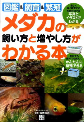 楽天ブックス メダカ生活はじめませんか 馬場浩司 本