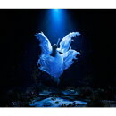 誰か、海を。 EP